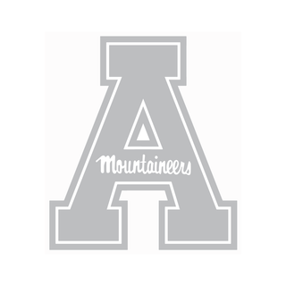 Appalachian State Disc Golf